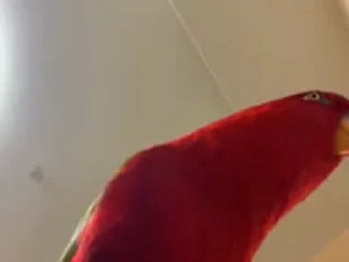 🔫