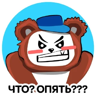 🐻