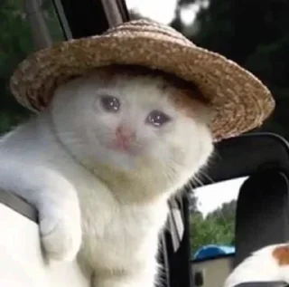 😭