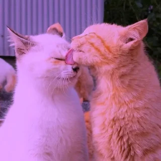 💜