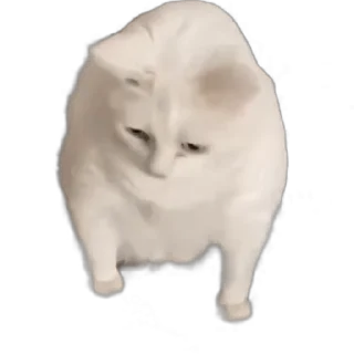 🤢