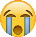 😭