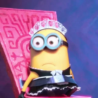 🌟
