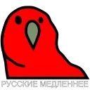 😂