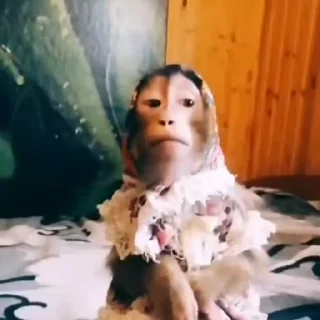 🌟