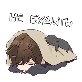 💤