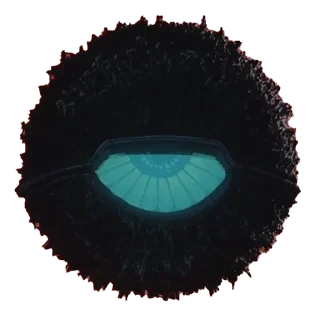 👁