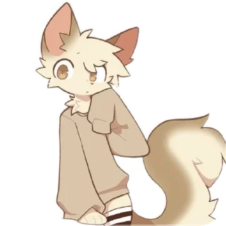 🐱