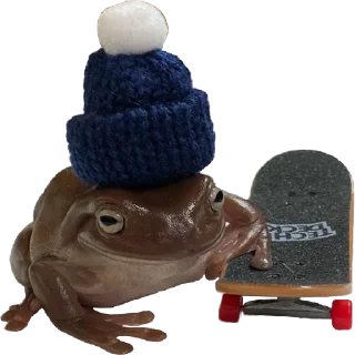 🛹
