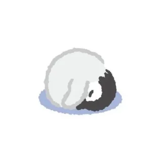 😴