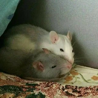 ❤️