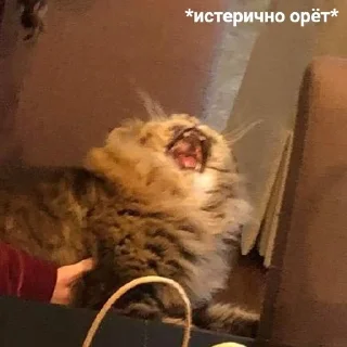 😫