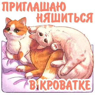 🛏