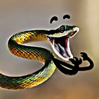 😆