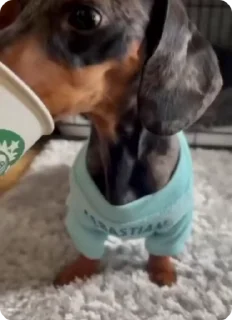 ☕