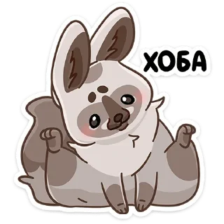 🐾
