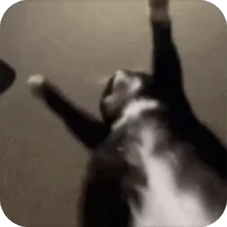 🕺