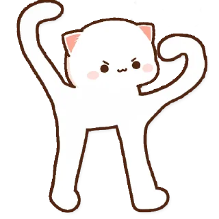 😾
