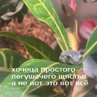 😣