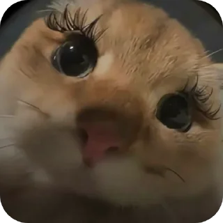 👍