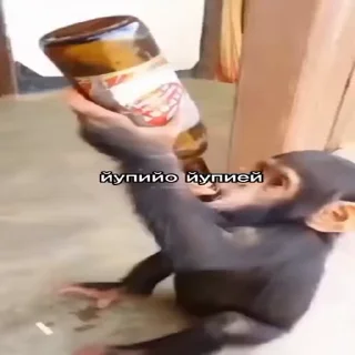 🍺