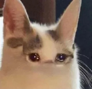 😭