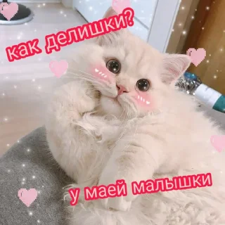 ☺️