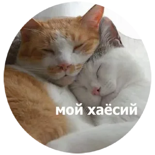 💑