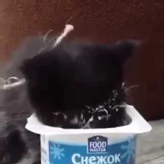 🥛