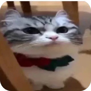 🫥
