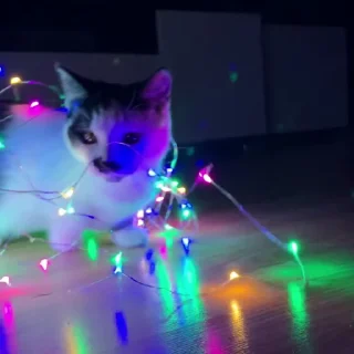 ☺️