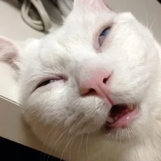 😴