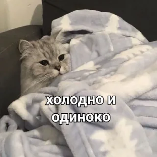 🥲