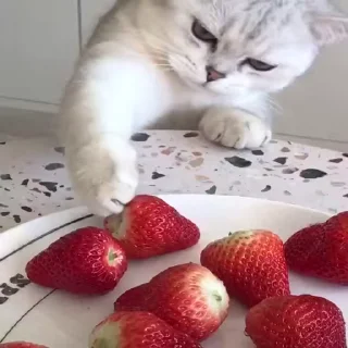 🍓