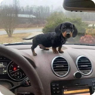 🚘