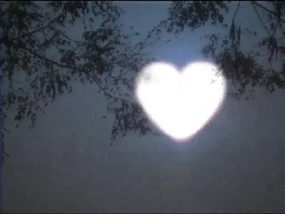 💖
