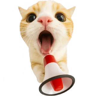 📢