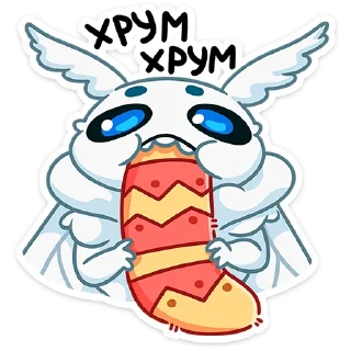 🍪