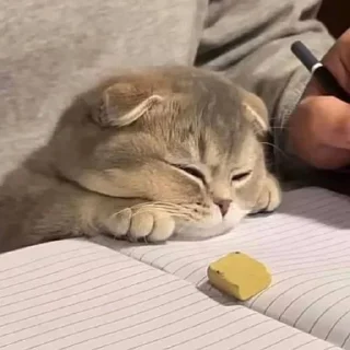 🥱