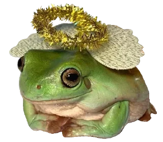 🐸