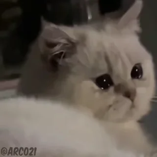 😭