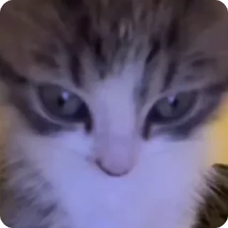 🤨