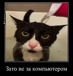 😜