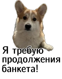 💃