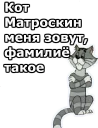 🐱
