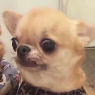 😕