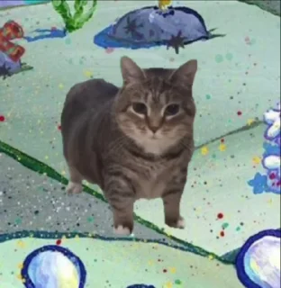 🐈