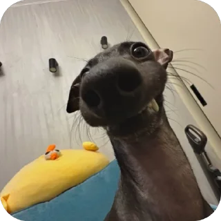 😁