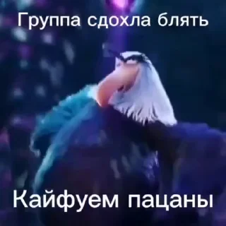 🎉