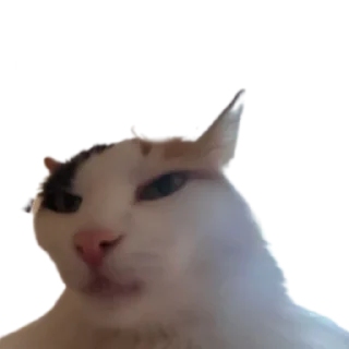🧐
